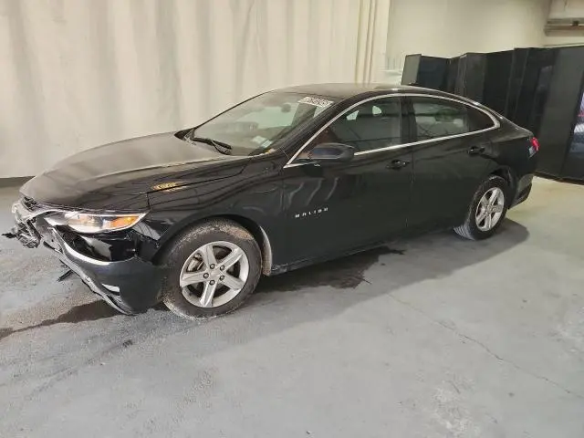 1G1ZD5ST8PF226495