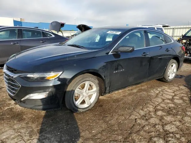 1G1ZD5ST8PF229669