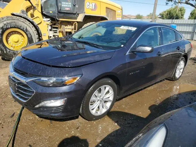 1G1ZD5ST8PF243779
