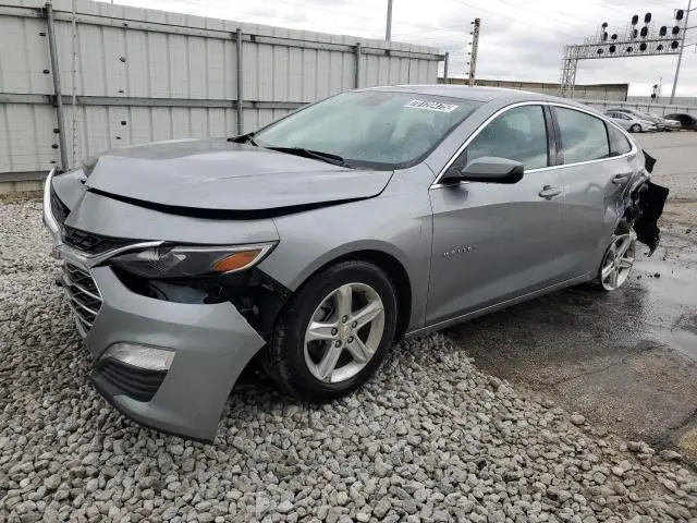 1G1ZD5ST8RF117117