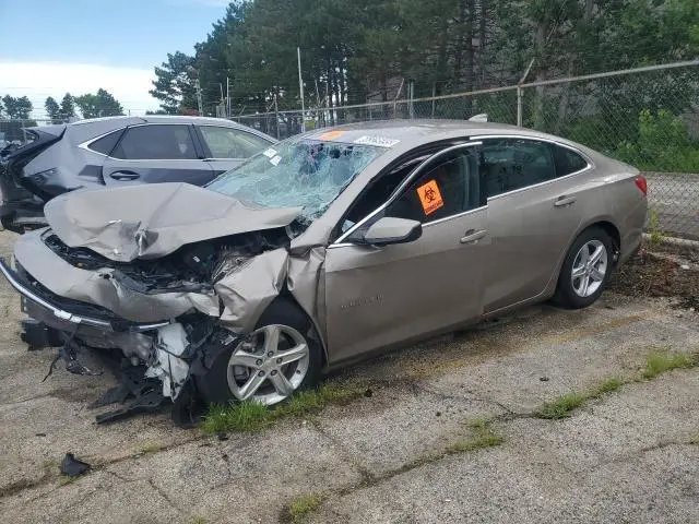 1G1ZD5ST8RF164700