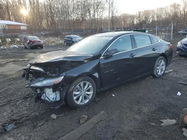 1G1ZD5ST8RF174286