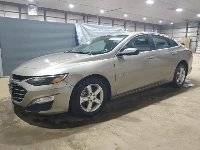 1G1ZD5ST8RF179519