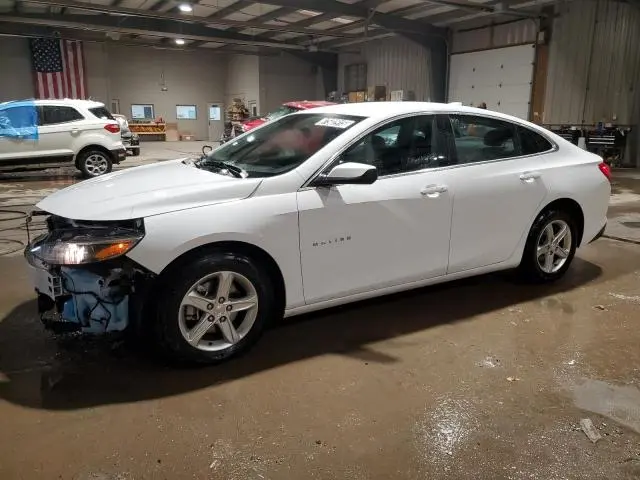 1G1ZD5ST8RF205195