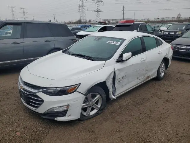 1G1ZD5ST8RF206024