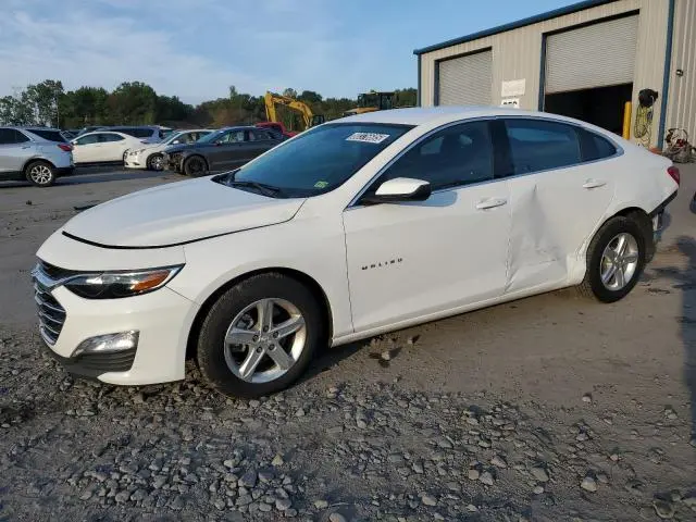 1G1ZD5ST8RF206167