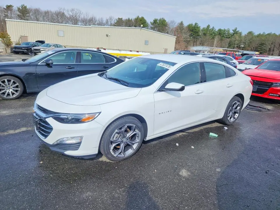 1G1ZD5ST8RF216939
