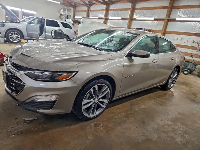 1G1ZD5ST8SF151533