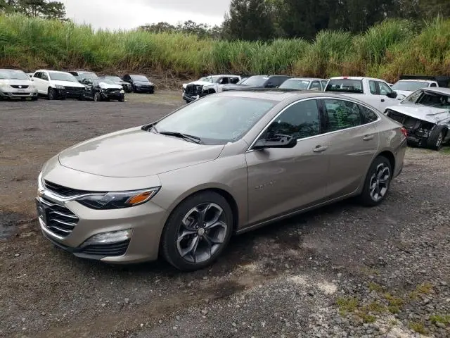 1G1ZD5ST9RF206954