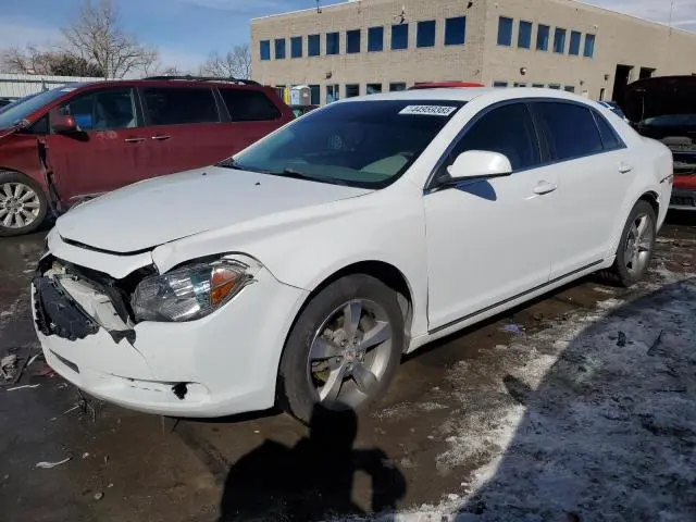 1G1ZF57519F211702