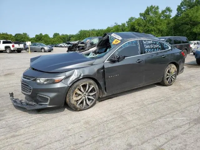 1G1ZF5SX6GF209241