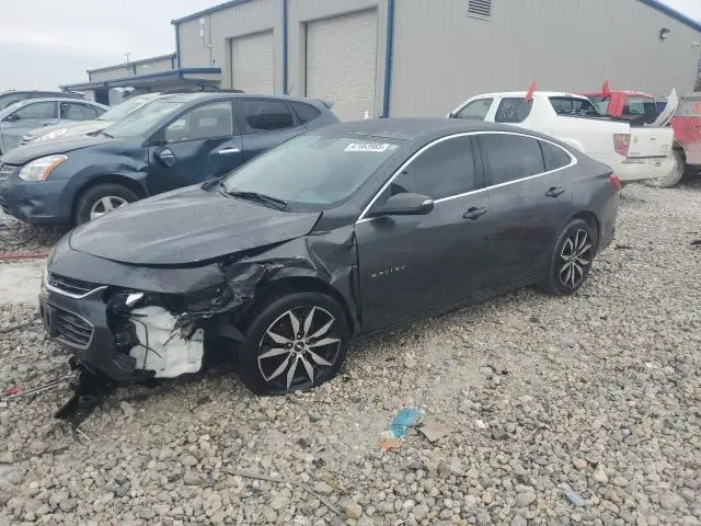 1G1ZF5SX8GF289660