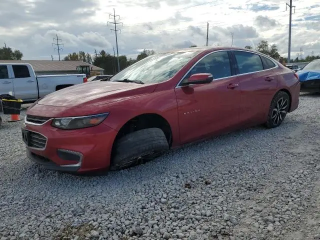 1G1ZF5SX9GF262659