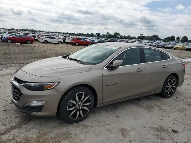 1G1ZG5ST1NF182019