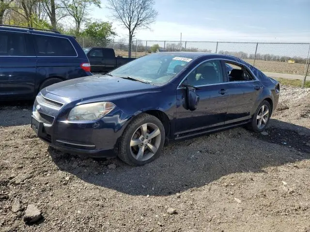 1G1ZJ57B594221908
