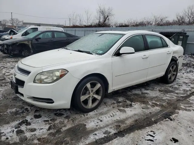 1G1ZJ57B894227461