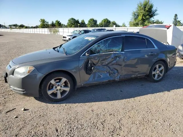 1G1ZJ57B89F208381