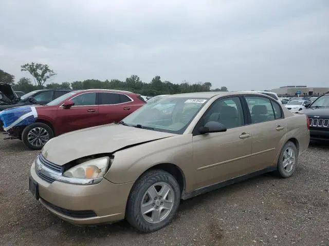 1G1ZT52805F315926