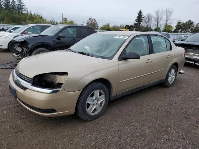 1G1ZT52825F305768
