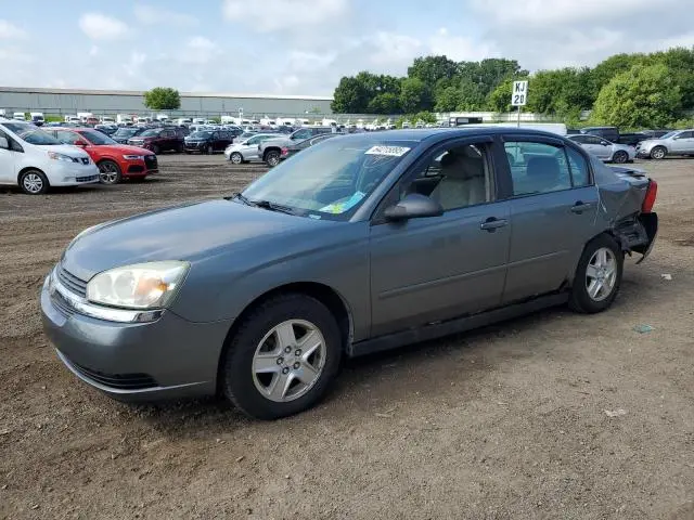 1G1ZT54884F209672
