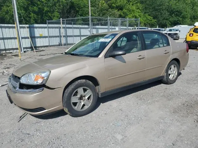 1G1ZT54895F163559