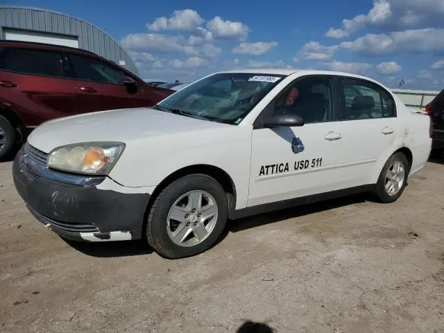 1G1ZT54895F228149