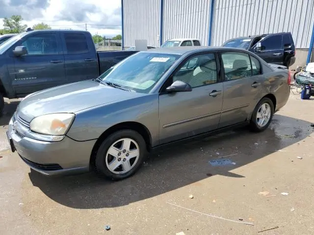 1G1ZT54895F241953