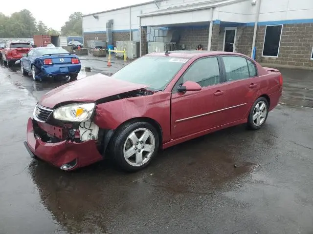1G1ZU53816F244491
