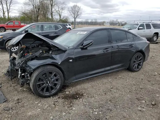 1G6DU5RK4P0117861