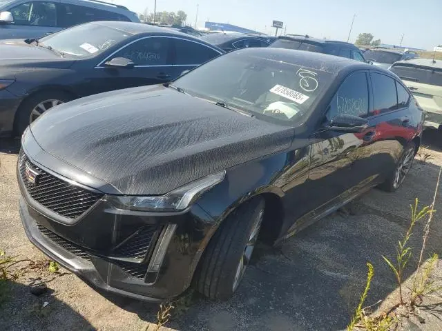 1G6DU5RK8L0133040
