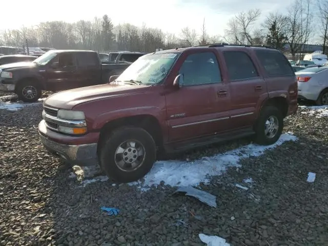 1GNEK13Z32J229826