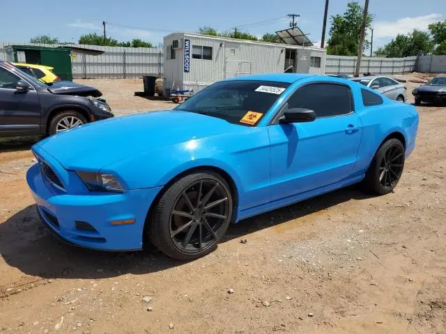 1ZVBP8AM2E5258919