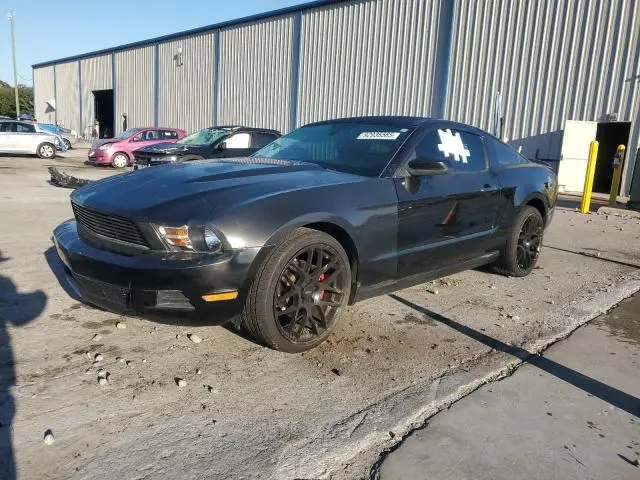 1ZVBP8AM4B5135649
