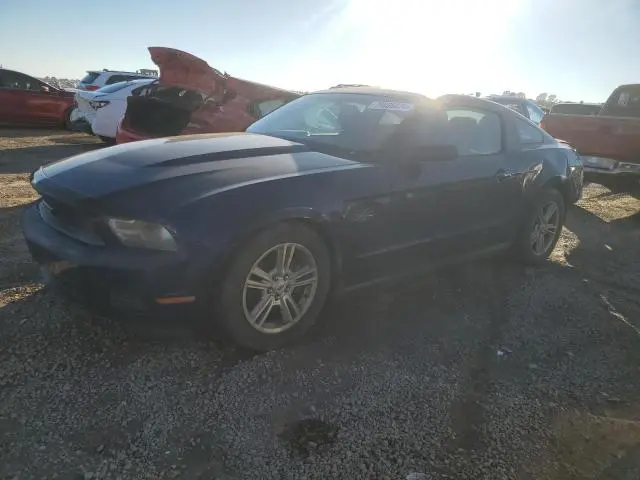 1ZVBP8AM5C5250858
