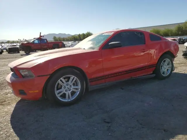 1ZVBP8AM6C5201135