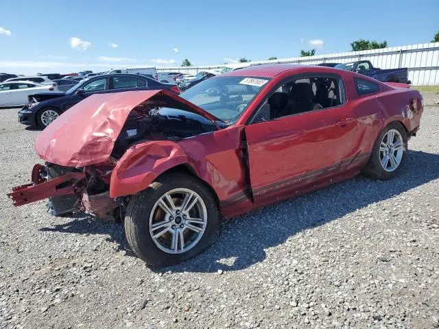 1ZVBP8AM8C5269470