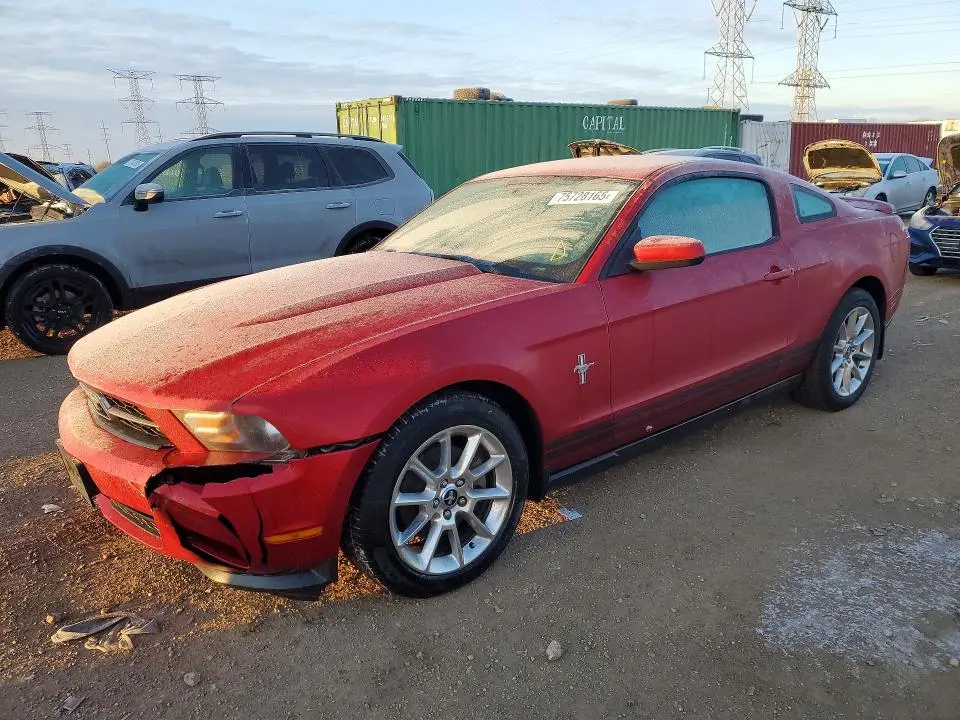 1ZVBP8AMXB5135994