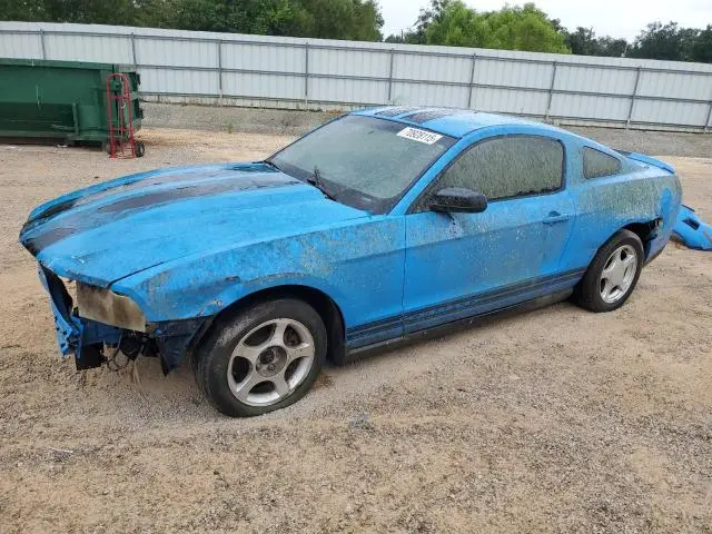 1ZVBP8AMXB5138510