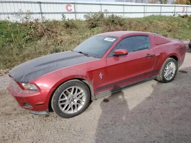 1ZVBP8AMXC5219508