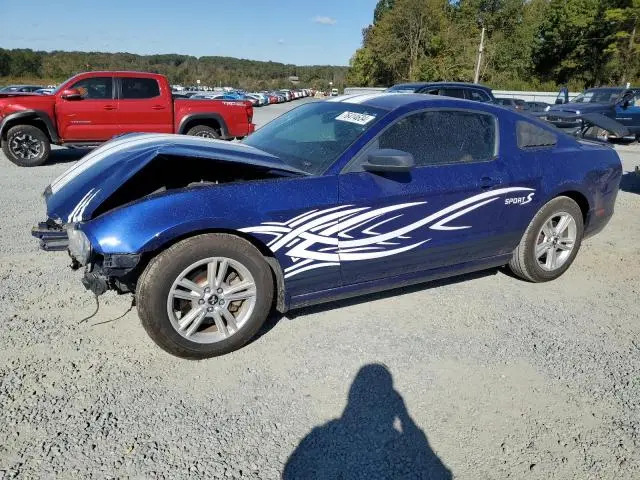 1ZVBP8AMXD5206341
