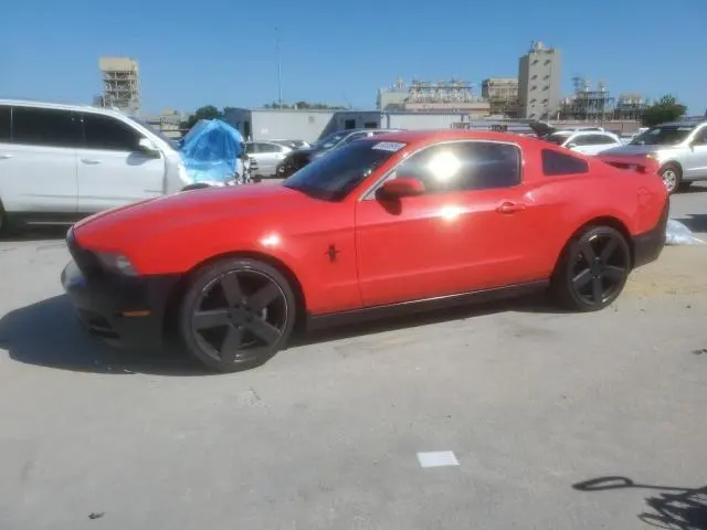 1ZVBP8AMXD5206405