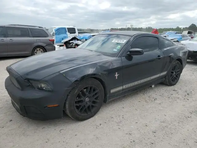 1ZVBP8AMXD5209188