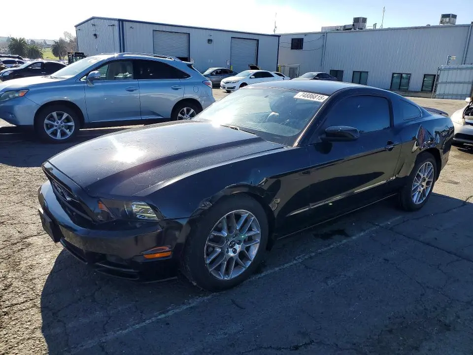 1ZVBP8AMXD5209515