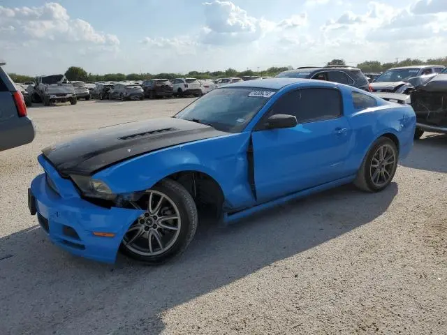 1ZVBP8AMXD5251330