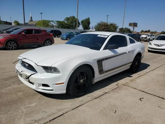 1ZVBP8AMXD5271951