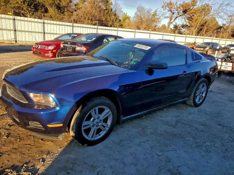 1ZVBP8ANXA5129751