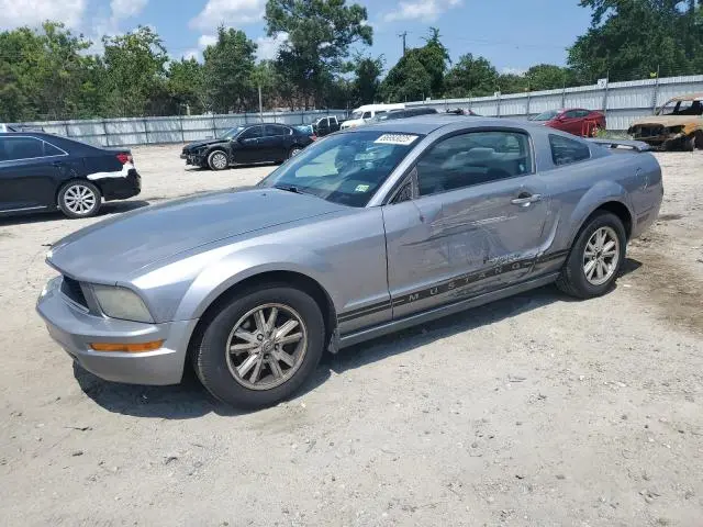1ZVFT80N565255506