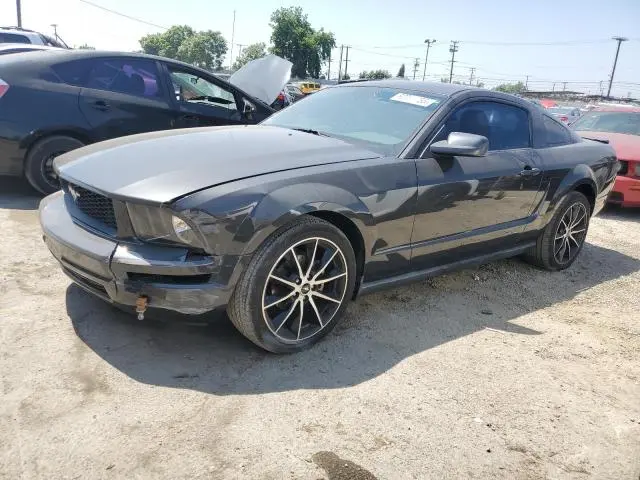 1ZVHT80N085196859