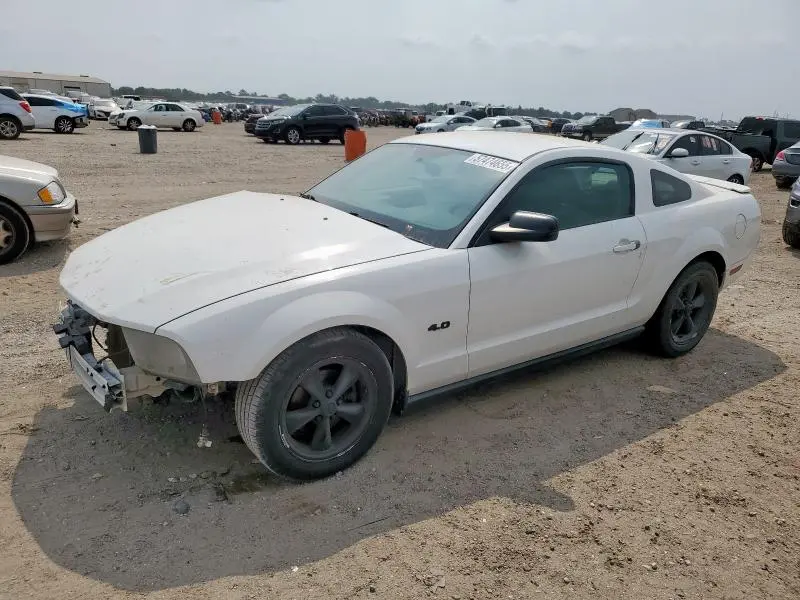 1ZVHT80N095142463