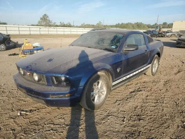1ZVHT80N295100599